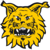 Ilves